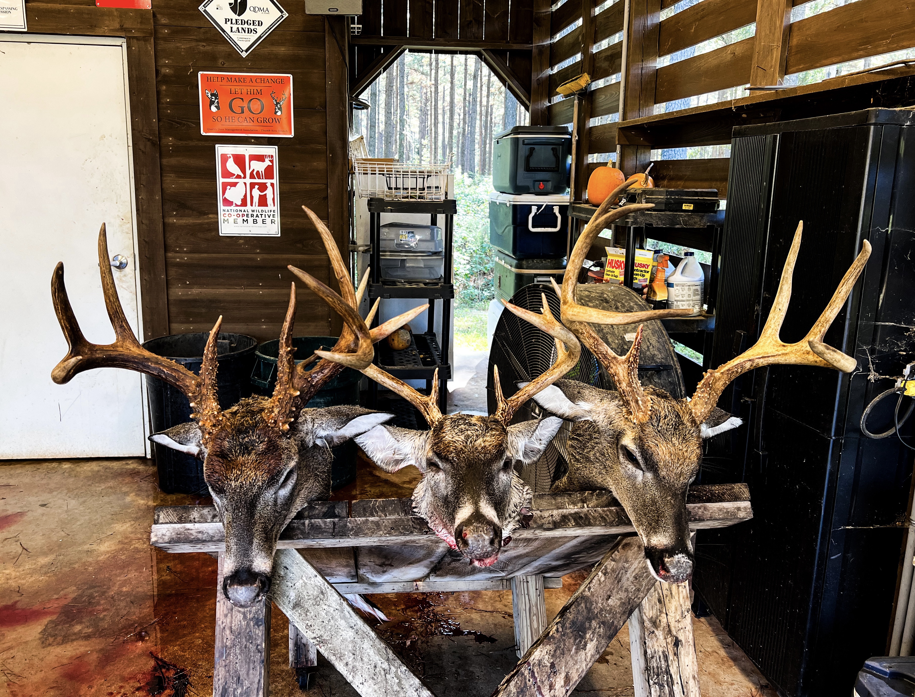 QDM – When Culling Works and When it Doesn’t