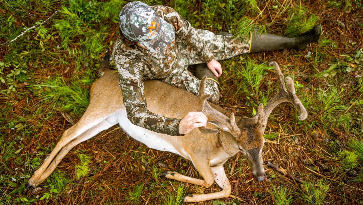 Tactics to Tag Early Season Bucks (without a feeder)