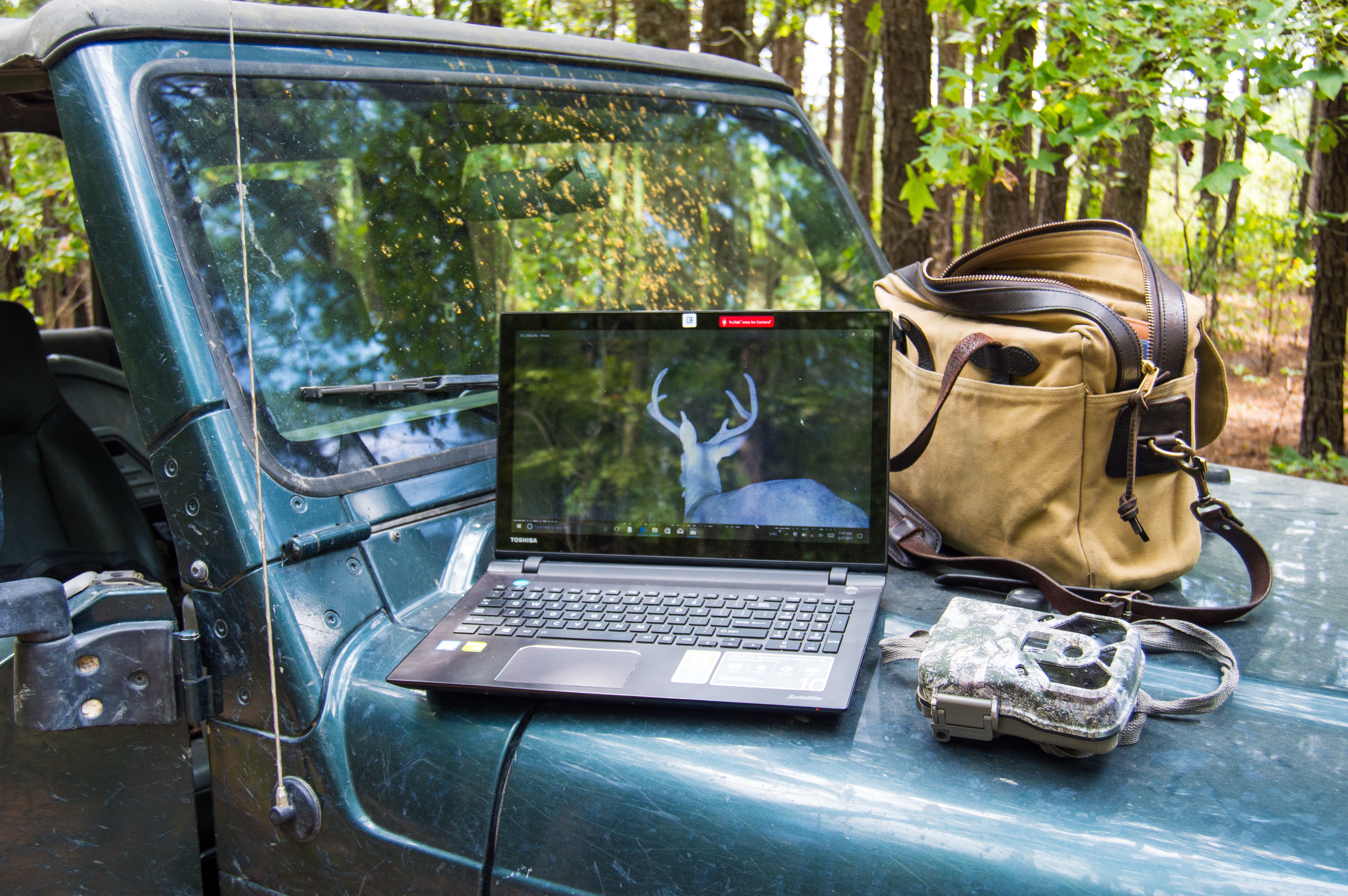 QDM – Herd Monitoring through Trail Cameras